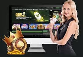 ao7 Live Casino